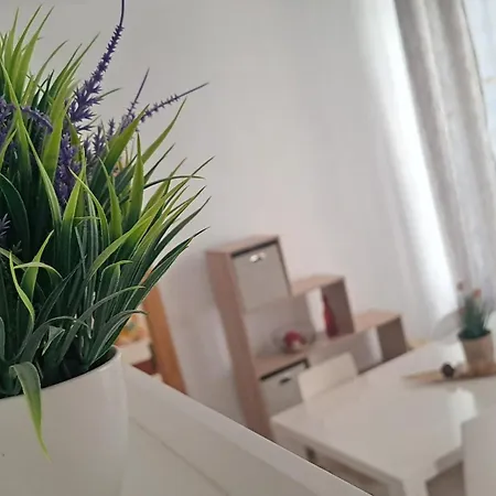 Apartamento Nest Style Navas Granada